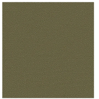 Stella 3+1 Takım - Kadife - Bazalt Yeşili