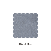 Buz