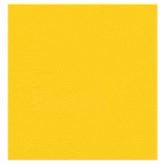 Rolivs  Puf | 80 x 80 cm | Kadife– Zerdeçal